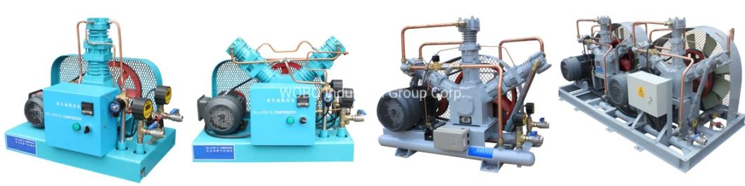 Long Service Life Portable Compressed Oil&Gas Plant for Power Plants