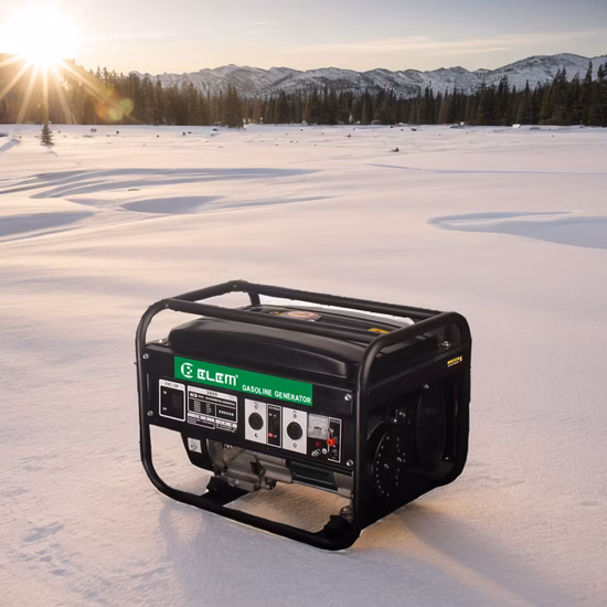 2500 Generatore diesel 220V Gruppo elettrogeno portatile Piccolo generatore diesel raffreddato ad aria al prezzo di fabbrica