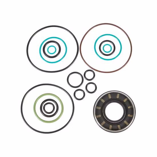 Mini motore per macchine edili Pala gommata Carro cingolato Parte della pompa idraulica Kit di riparazione di ricambio per escavatore Rexroth Komatsu Hyundai Kubota Kobelco