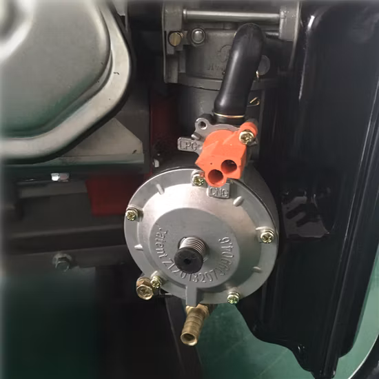 Generatore naturale GPL da 5KW con valore di potenza, generatore elettrico a biogas, generatore portatile a benzina GPL a doppia alimentazione