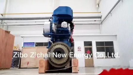 Produttore di centrali elettriche a biogas da biomassa syngas da 750 kW