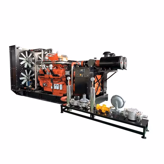 Produttore generatore di gas naturale generatore di energia elettrica a biogas generatore di gas con prezzo di fabbrica