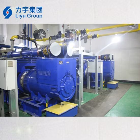 Cina Motore a combustione interna a gas ad alta tensione Liyu 0.8MW/800KW, produttore di gruppi elettrogeni a biomassa alimentati a gas a risparmio energetico