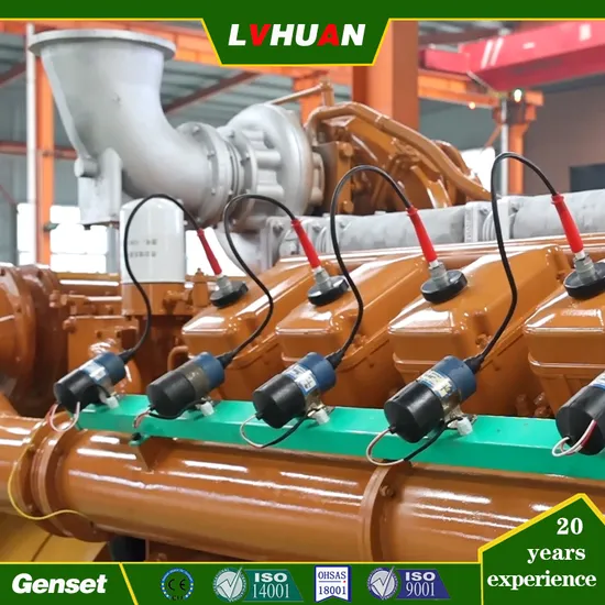 Progetto chiavi in ​​mano per centrale elettrica a biomassa, generatore elettrico a gas