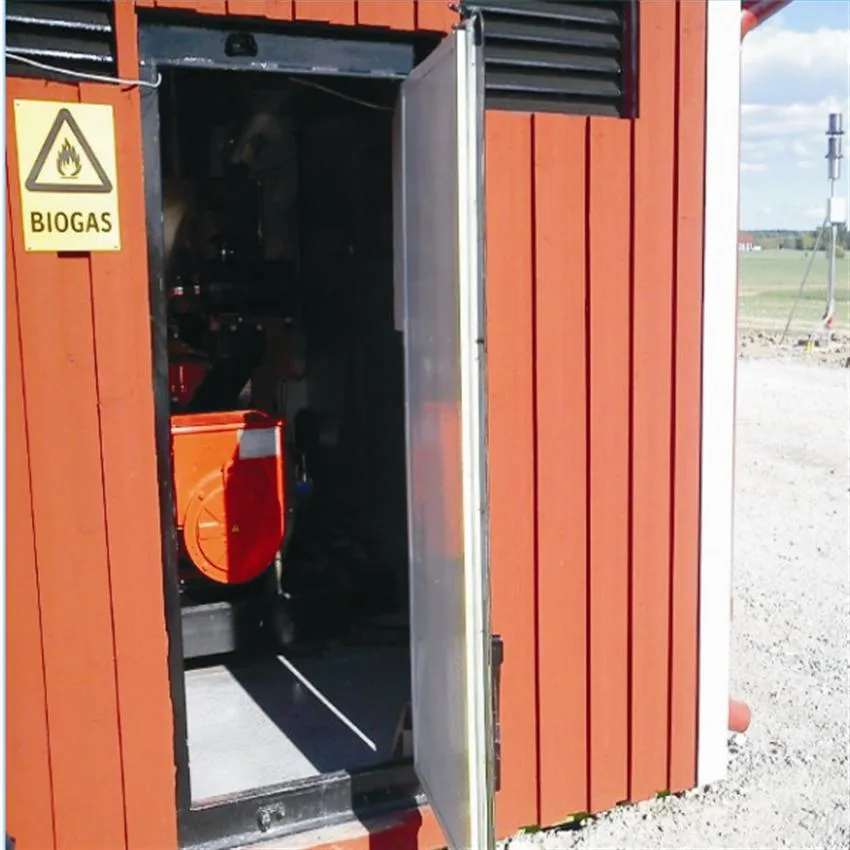 Generatore di biogas/generatore elettrico, centrale di cogenerazione