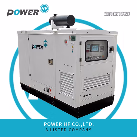 Generatore diesel portatile e silenzioso da 30 kW per uso domestico, alimentato da un famoso motore